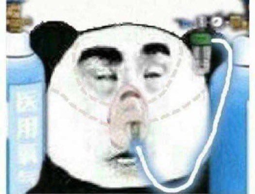 PANDAJAK 7